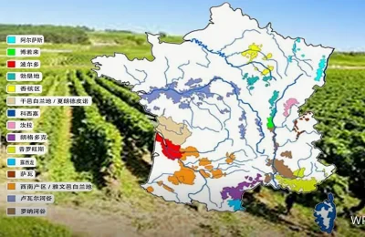 WPS使用教程：多设备同步冲突怎么处理