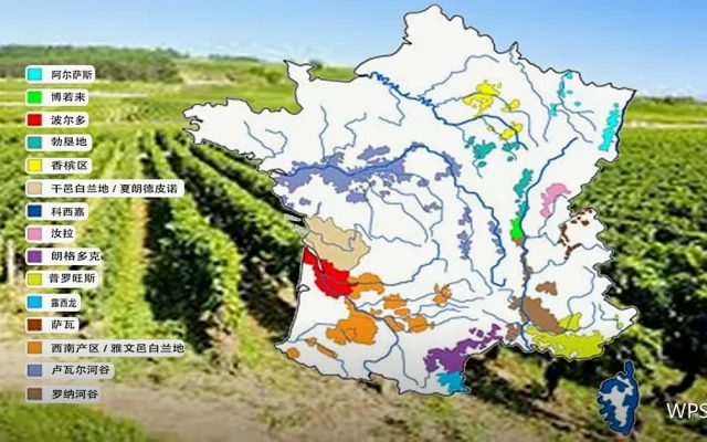 WPS使用教程：多设备同步冲突怎么处理