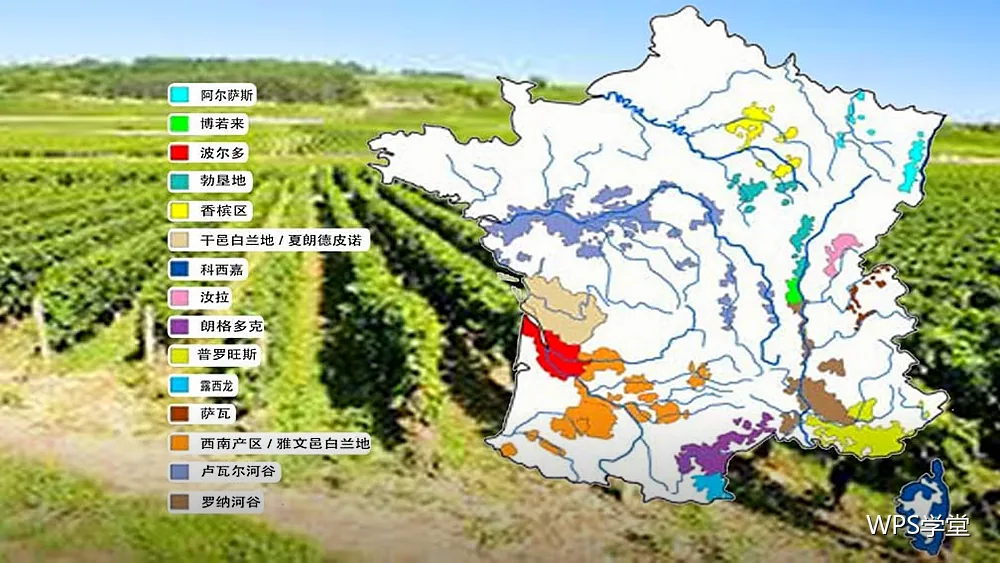 文件整理实战：批量整理与归档