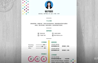 WPS疑难解答：二十个高频问题速查
